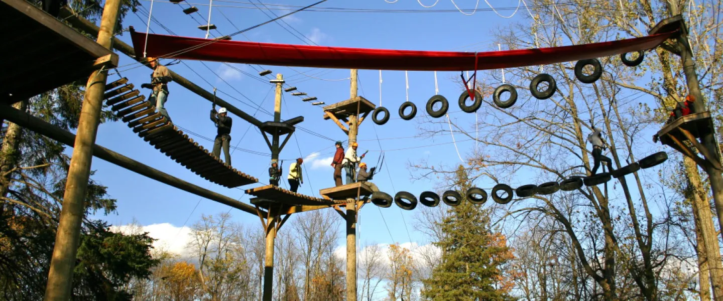 Campers navigate a high ropes course.