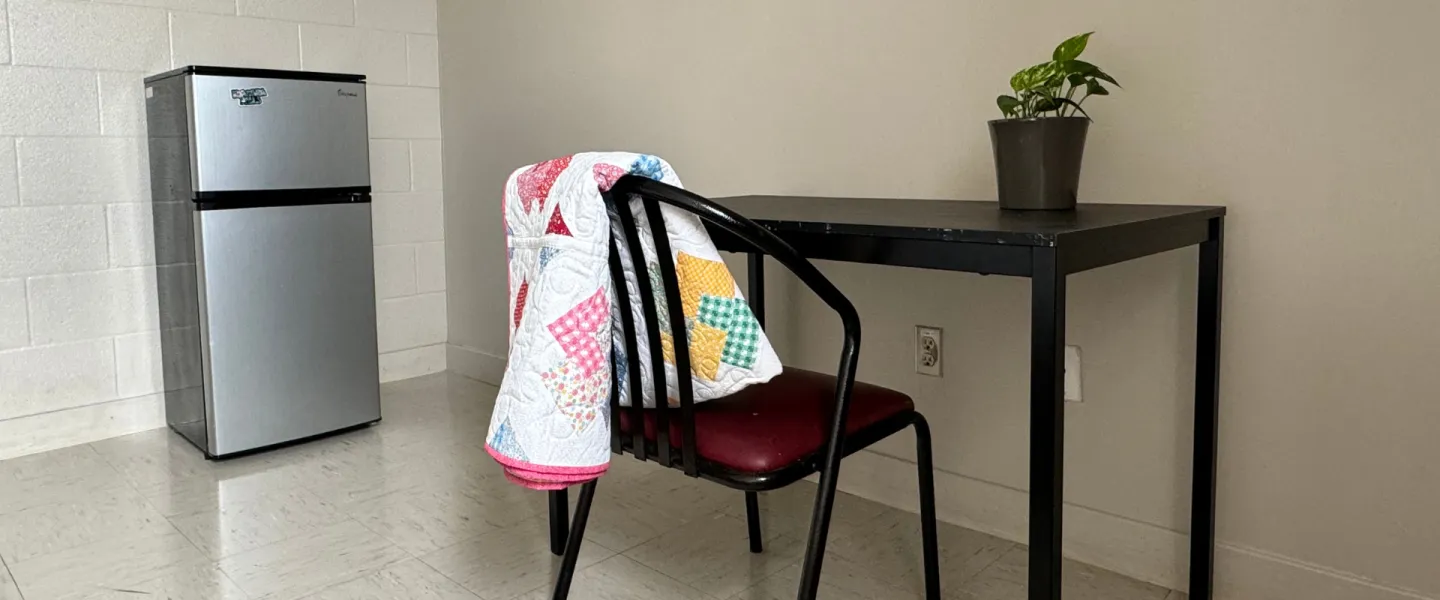 Corner of room with desk, chair, plant, and small fridge