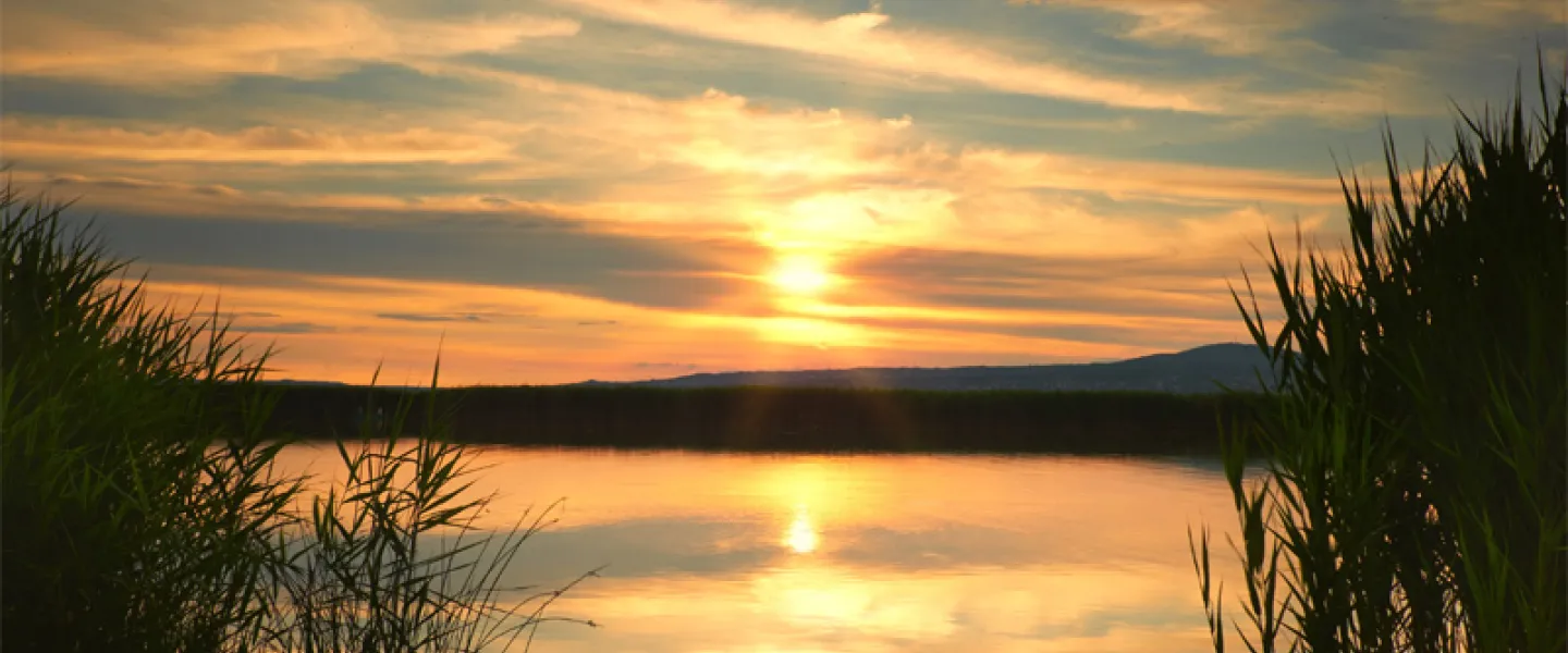 sunset over a lake